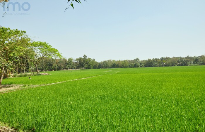 Krzywiczyny, Wołczyn, Działka do dzierżawy