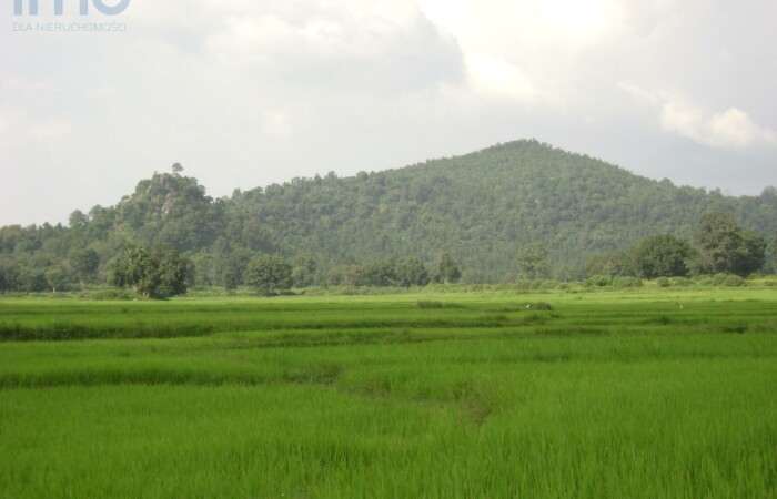 brzozowski, Brzozów, Przysietnica, Działka pod inwestycję