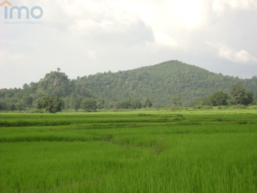 brzozowski, Brzozów, Przysietnica, Działka pod inwestycję