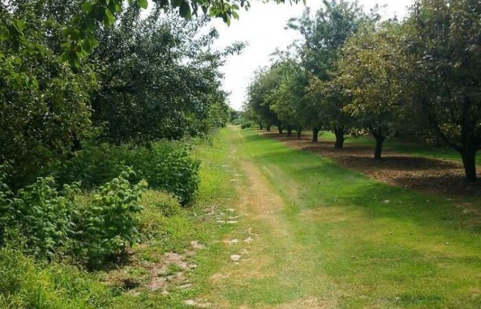 Grębynice, Zielonki, Działka na sprzedaż