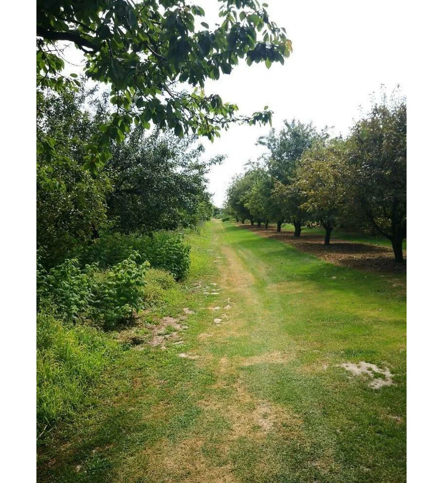 krakowski, Zielonki, Grębynice, Piłsudskiego, Działka w Grębynicach - Bezpośrednio☼