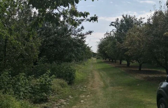 krakowski, Zielonki, Grębynice, Piłsudskiego, Działka w Grębynicach - Bezpośrednio☼