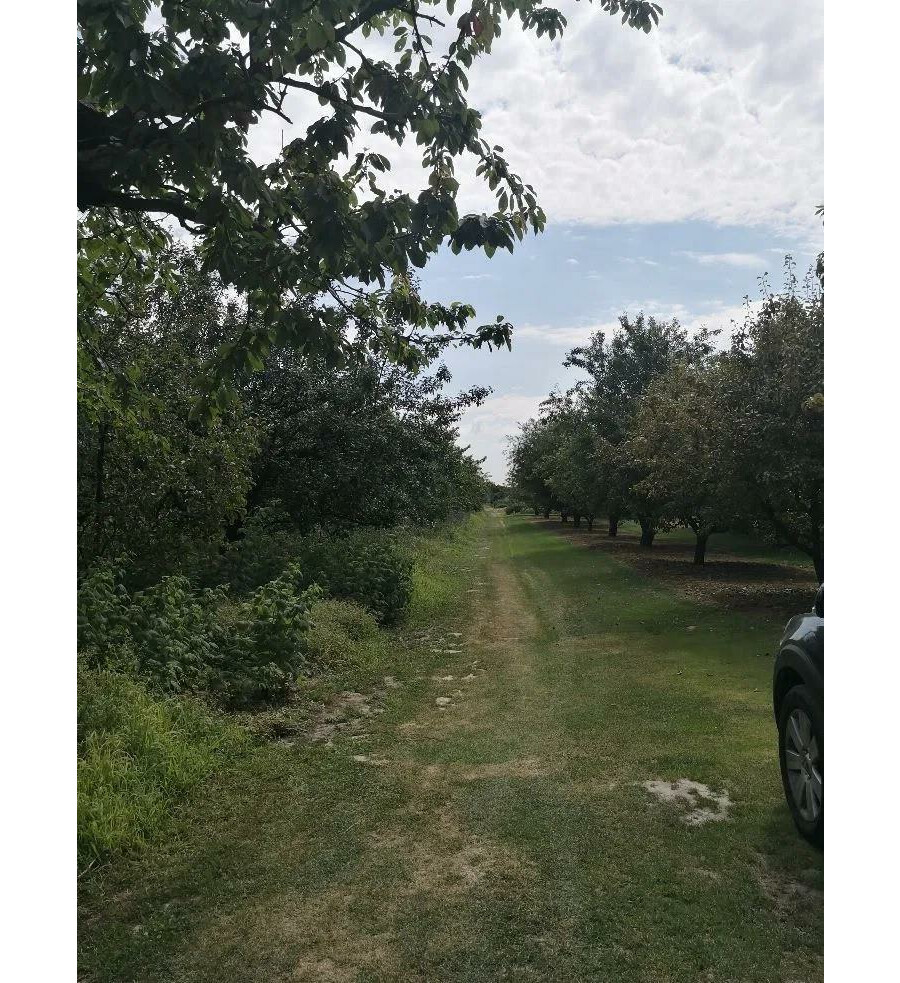 krakowski, Zielonki, Grębynice, Piłsudskiego, Działka w Grębynicach - Bezpośrednio☼