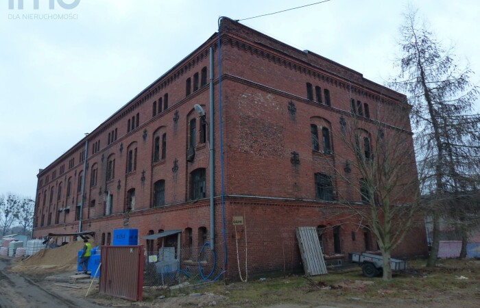 aleksandrowski, Nieszawa, Obiekt na sprzedaż