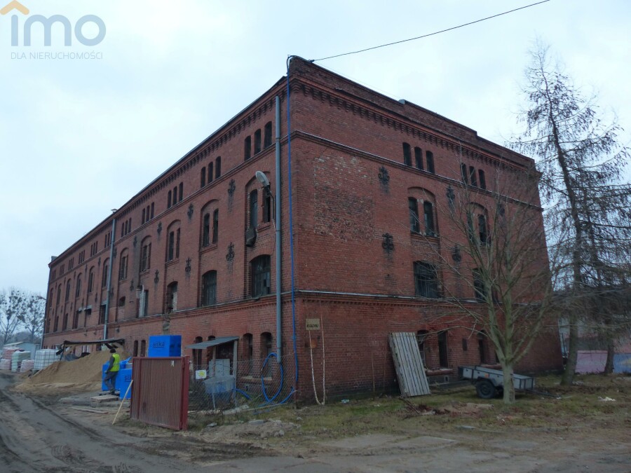 aleksandrowski, Nieszawa, Obiekt na sprzedaż