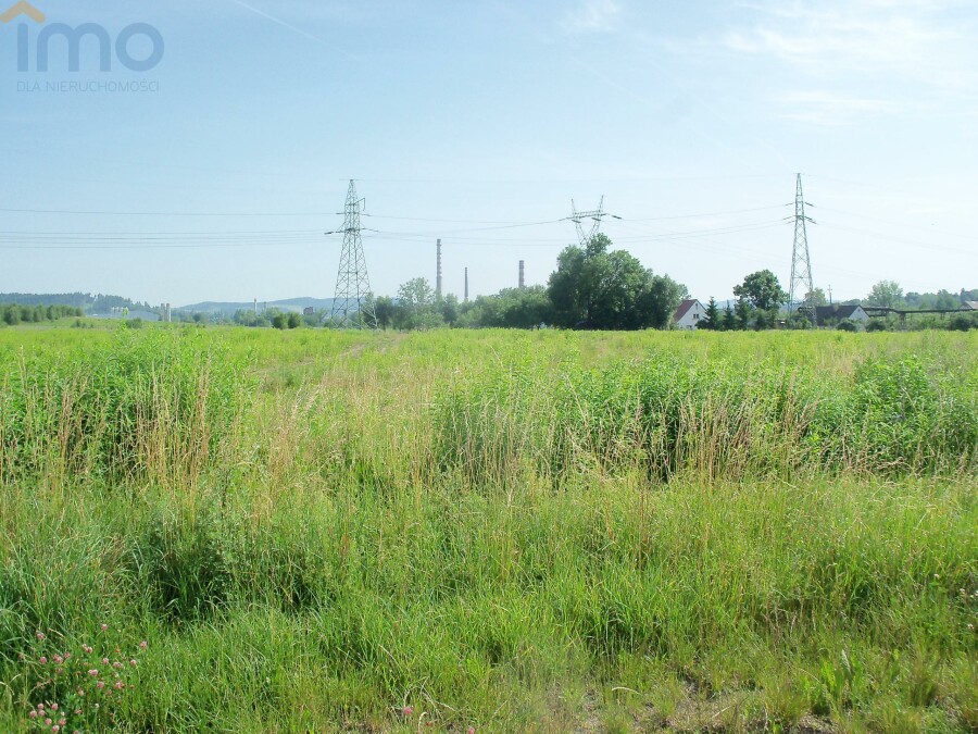 grójecki, Pniewy, Cychry, Zacznij uprawiać ekologiczne warzywa dla siebie