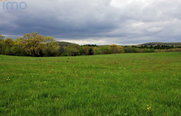 Dębowo, Brańsk, Działka na sprzedaż