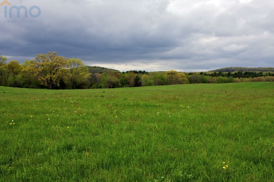 bielski, Brańsk, Dębowo, Szukasz działki budowlanej - dobrze trafiłeś !