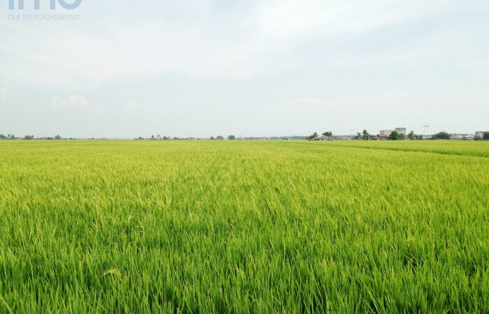 Garbacz, Waśniów, Działka do dzierżawy