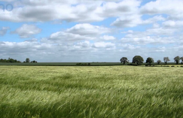 Oleszka, Zdzieszowice, Działka do dzierżawy