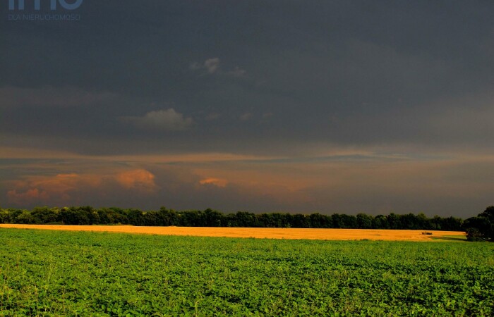 Budynia, Dąbie, Działka do dzierżawy
