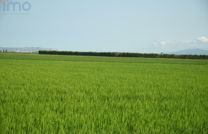 Toruń, kujawsko-pomorskie, Działka do dzierżawy